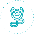 Adoption